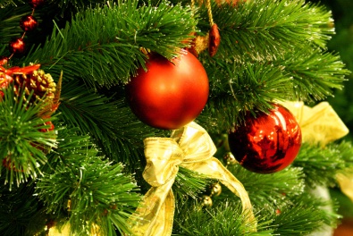 Сколько будет стоить новогодняя елка в этом году?