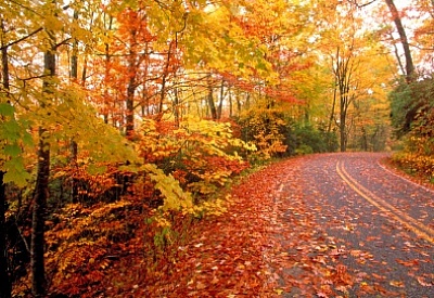 Главное фото новости
