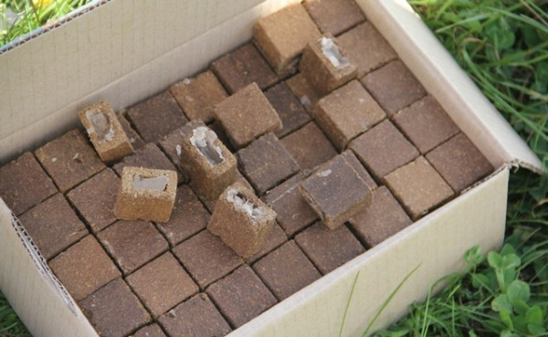 приманки с вакциной для животных приманки с вакциной для животных