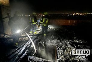 В Кривом Роге горела крыша двухэтажного дома: спасли ребенка