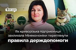 Как криворожская предпринимательница призвала Минэкономики пересмотреть правила государственной помощи