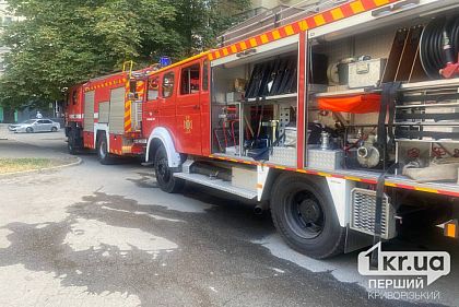 В Никопольском районе во время пожара погибла женщина