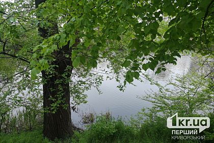 Завдяки гранту в Кривому Розі відкриють сервіс догляду за зеленими насадженнями