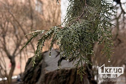 Погода у Кривому Розі на 5 березня