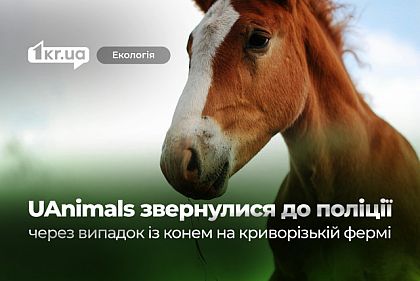 После побега лошади активисты UAnimals заявили о возможных нарушениях на одной из криворожских ферм