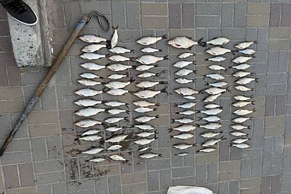 Незаконна риболовля з криги на Дніпропетровщині завдала понад сотню тисяч гривень збитків