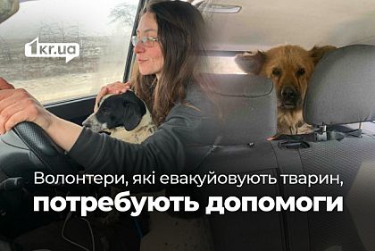 Волонтерка з Кривого Рогу прихистила пів тисячі евакуйованих тварин — зараз їй потрібна допомога