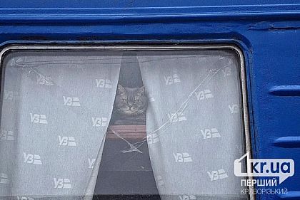 В Днепропетровской области задерживаются пригородные поезда: среди направлений — Кривой Рог