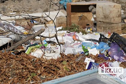 Це не моє сміття, але це мій Інгулець — криворіжців запрошують на суботник