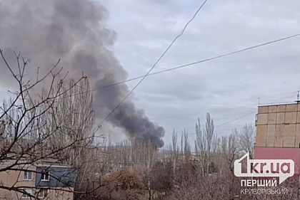У Кривому Розі палав очерет — стовп диму було видно здалеку