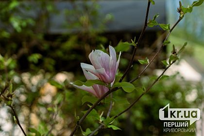 Прогноз погоди на 27 березня