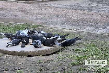 Погода у Кривому Розі 28 березня