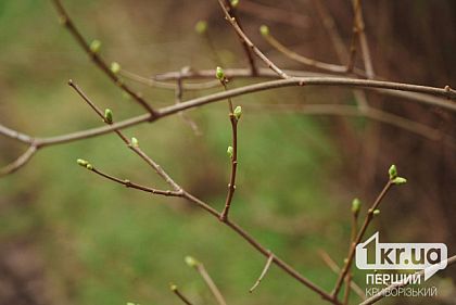 Яку погоду очікувати у Кривому Розі 31 березня