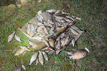 На Криворіжжі чоловік виловив понад 100 рибин на 190 тисяч гривень збитків