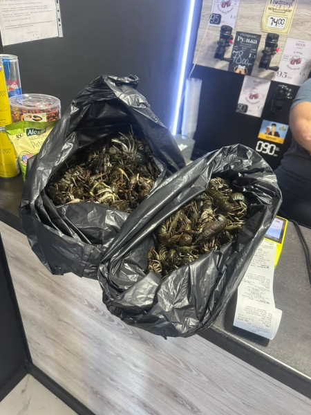 продаж раків