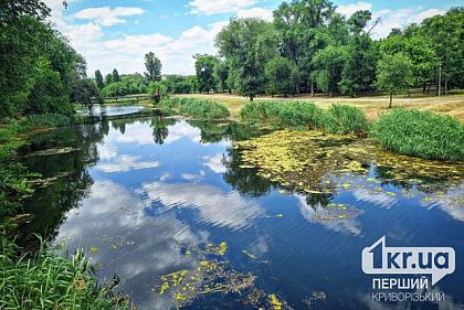 На Криворіжжі через суд хочуть повернути державі Зеленодольське водосховище та понад 1600 гектарів землі