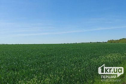 На Криворіжжі через суд повернули громаді землю, яку використовували з порушеннями