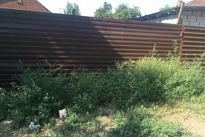 Власників приватних будинків можуть оштрафувати за неприбрану територію за парканом