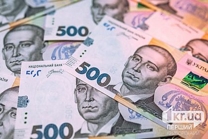 Закупили одне, отримали інше: на Криворіжжі через суд повернуть 650 тисяч гривень