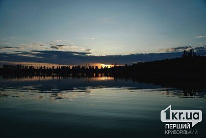 В водоеме Кривого Рога обнаружен холерный вибрион: что известно и есть ли риски