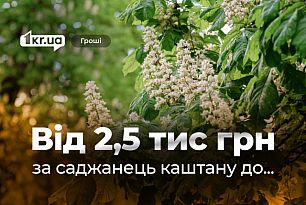 Сколько стоили саженцы каштанов возле разрушенного Россией дома в Кривом Роге