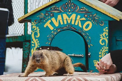 Что на самом деле означает День сурка в Украине