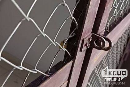 Жители Кривого Рога во время воздушной тревоги не попали в укрытие гимназии №21