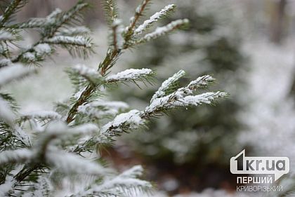 Погода в Кривом Роге на 4 февраля