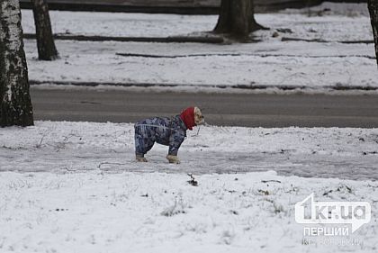 Какой погоды ждать криворожанам 5 февраля
