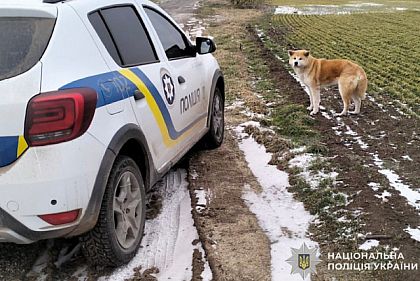 На Криворожье полицейский помог семье найти собаку, которая сбежала из дома