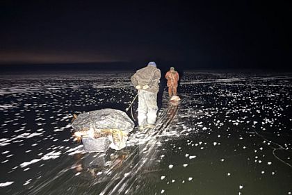 Сколько незаконных орудий ловли рыбы изъяли на Днепропетровщине за неделю