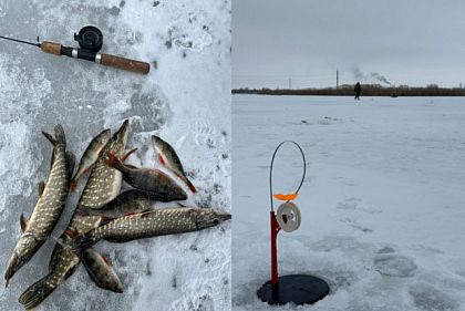За месяц на Днепропетровщине браконьеры наловили рыбы более чем на миллион гривен убытков
