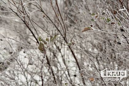 Морози та сніг: якою буде погода у Кривому Розі цього тижня