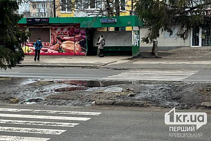 Болото замість тротуару: криворіжці скаржаться на стан пішохідного переходу