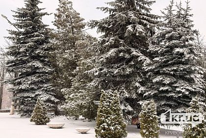 Якою буде погода у Кривому Розі 20 лютого