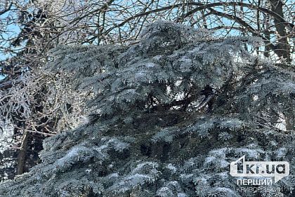 Яку погоду очікувати криворіжцям на вихідних