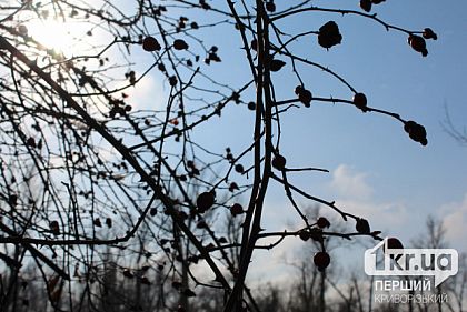 Якою буде погода у Кривому Розі 25 лютого