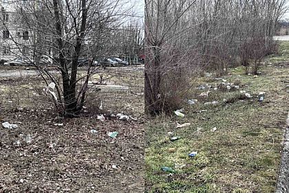 Узбіччя доріг завалені сміттям: криворіжців просять дотримуватися чистоти