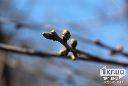 Якою буде погода у Кривому Розі 27 лютого