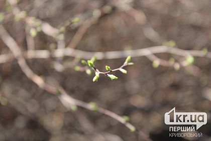 Якою буде погода у Кривому Розі 28 лютого