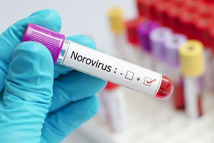Як криворіжцям вберегтися від норовірусної інфекції