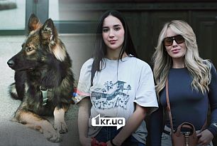 С собакой в ТЦ и укрытие: проверяем доступность в Кривом Роге