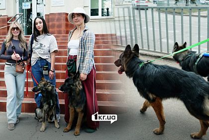 Чи є у Кривому Розі pet-friendly укриття та установи у Центрально-Міському районі