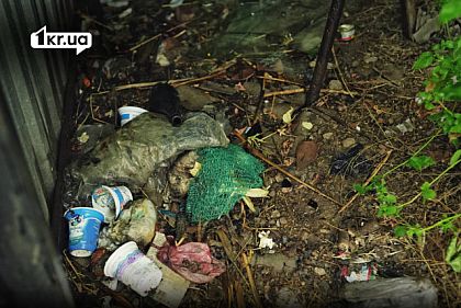 Засорение земли в Кривом Роге с ущербом почти на 700 тысяч гривен