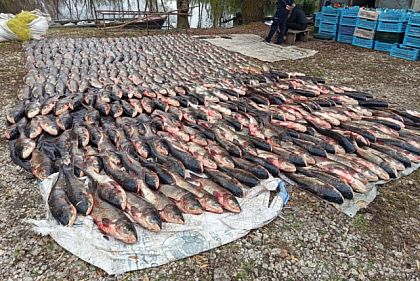 Вылов 6 тонн рыбы на Южном водохранилище возле села Новая Заря Криворожского района