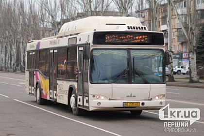 автобус №302