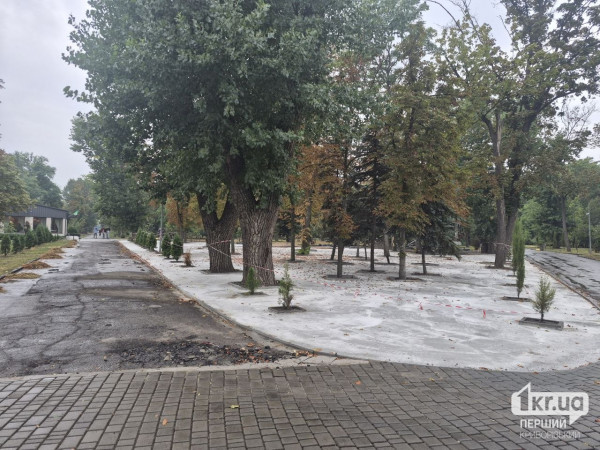 Забетонована ділянка парку Мершавцева з деревами та невеликими відкритими лунками
