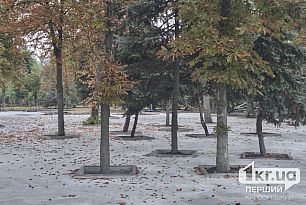Часть парка Мершавцева залили бетоном: у властей Кривого Рога просят объяснений