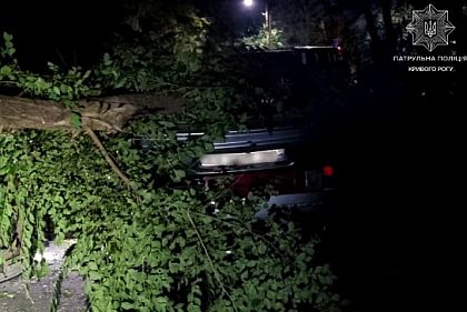 У Кривому Розі нетверезий водій влетів у дерево, автомобіль перекинувся