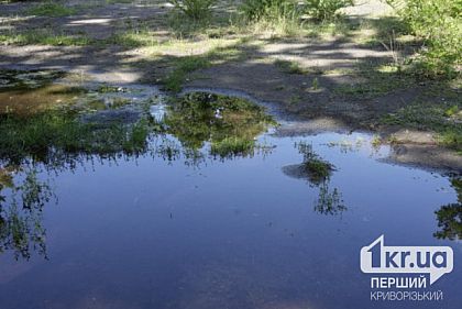 У Кривому Розі зафіксували ще один порив водогону: підтопило земельні ділянки